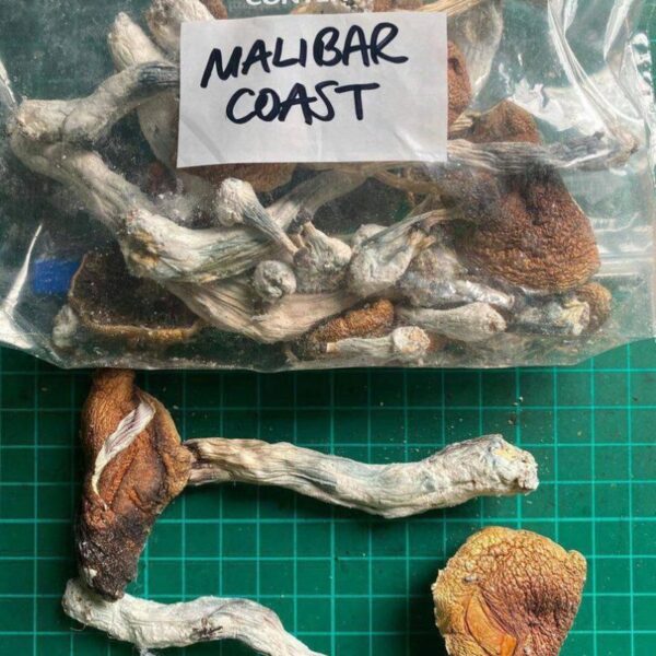 Malabar Coast Mushrooms